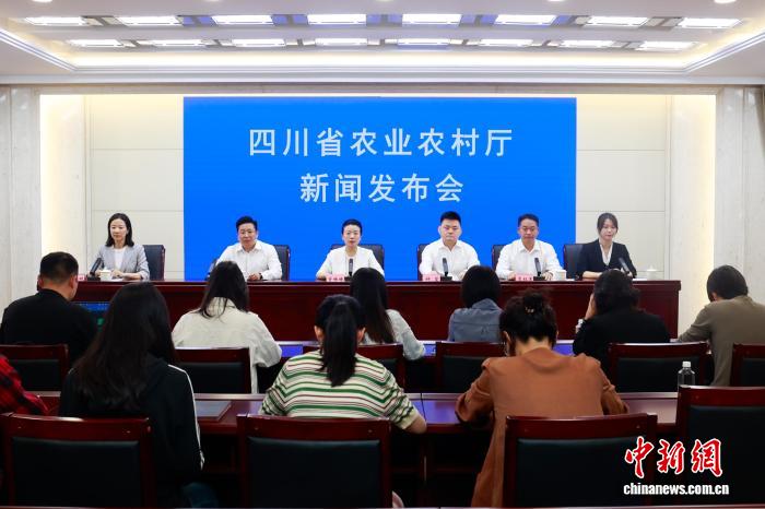 九游会1专注九游会登录,为用户提供专业可靠的体验。 - 九游会1